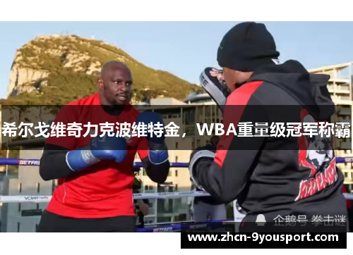 希尔戈维奇力克波维特金，WBA重量级冠军称霸