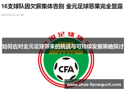 如何应对金元足球带来的挑战与可持续发展策略探讨