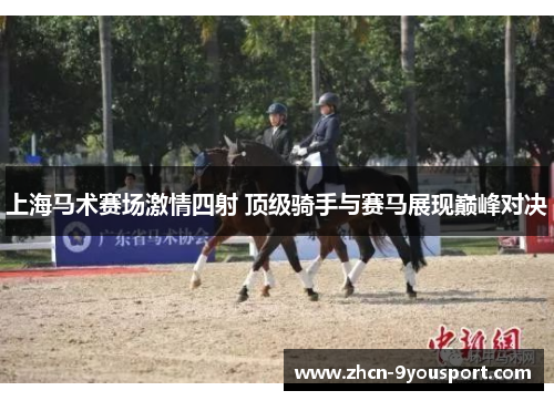 上海马术赛场激情四射 顶级骑手与赛马展现巅峰对决