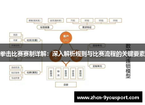 拳击比赛赛制详解：深入解析规则与比赛流程的关键要素