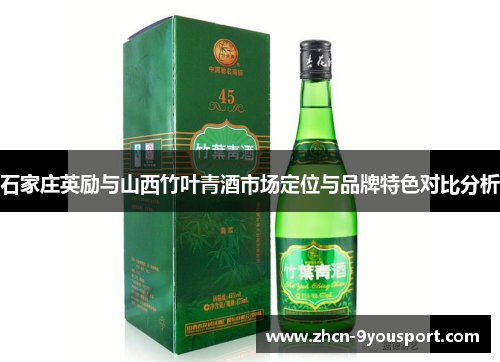 石家庄英励与山西竹叶青酒市场定位与品牌特色对比分析
