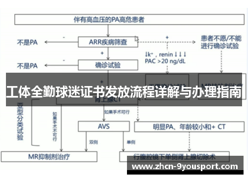 工体全勤球迷证书发放流程详解与办理指南